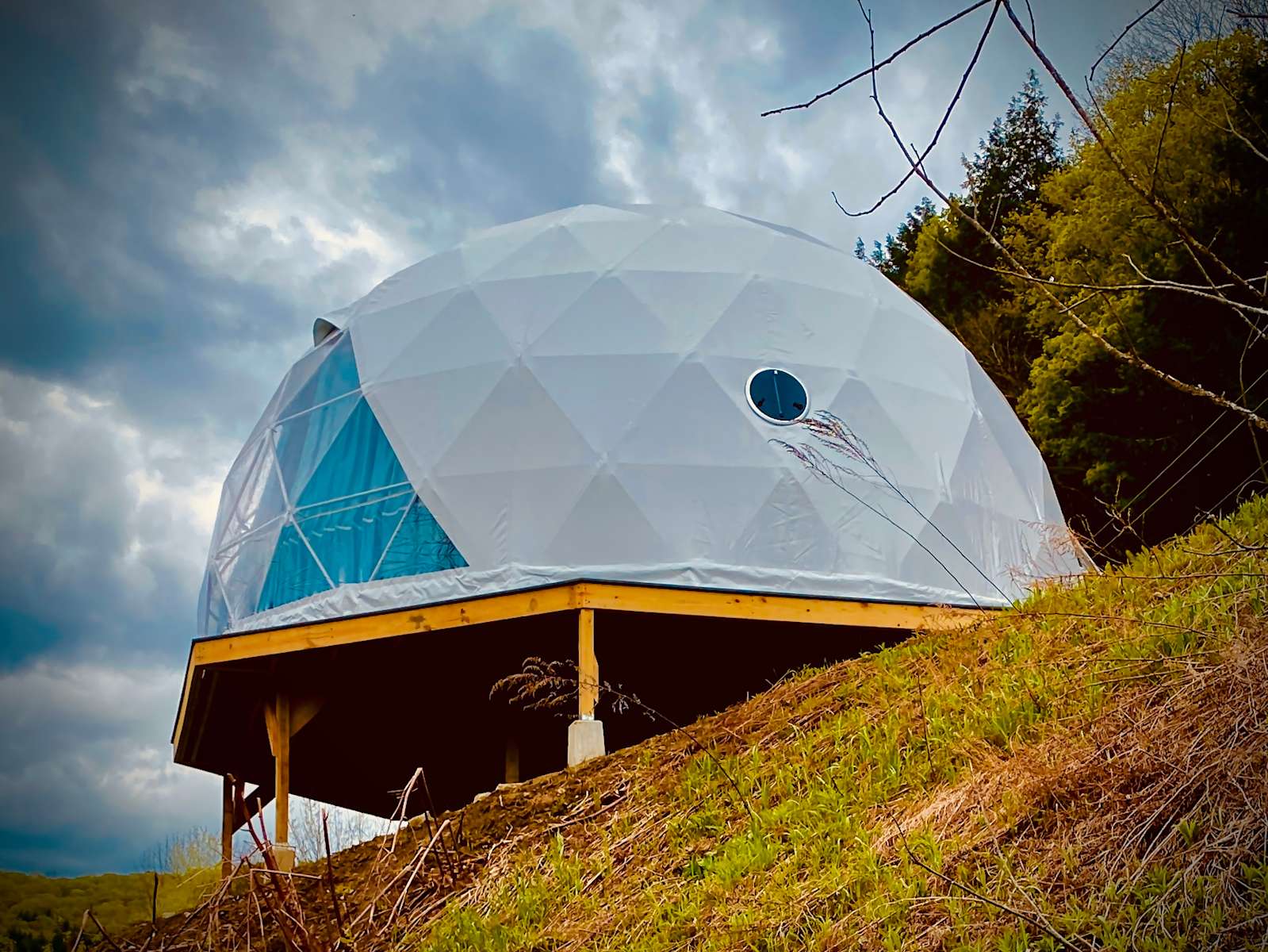 Dome@Meadows - Photo 3