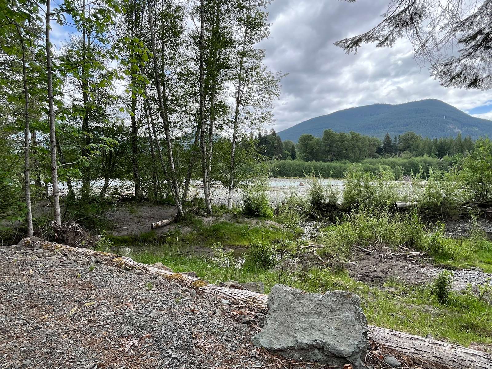 Cowlitz River By Mount Rainier Hipcamp in Packwood, Washington