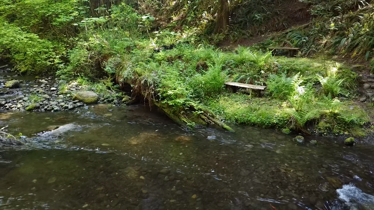 Little River Hideaway Hipcamp in Quilcene, Washington