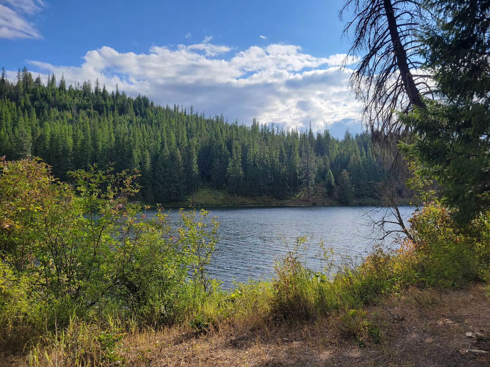 The Hidden Frog On Kelso Lake - Photo 2