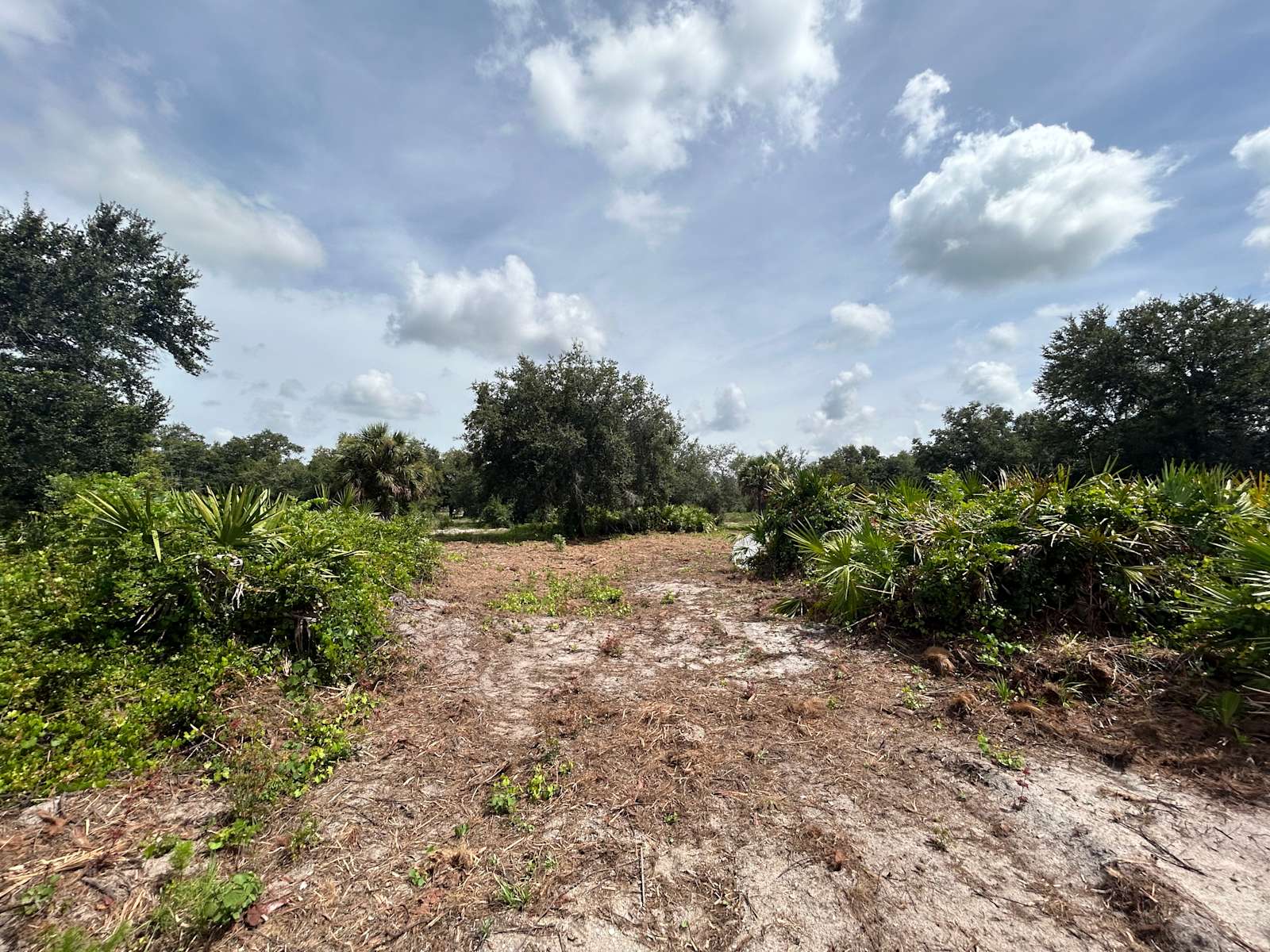 Okee Oasis - Hipcamp in Okeechobee, Florida