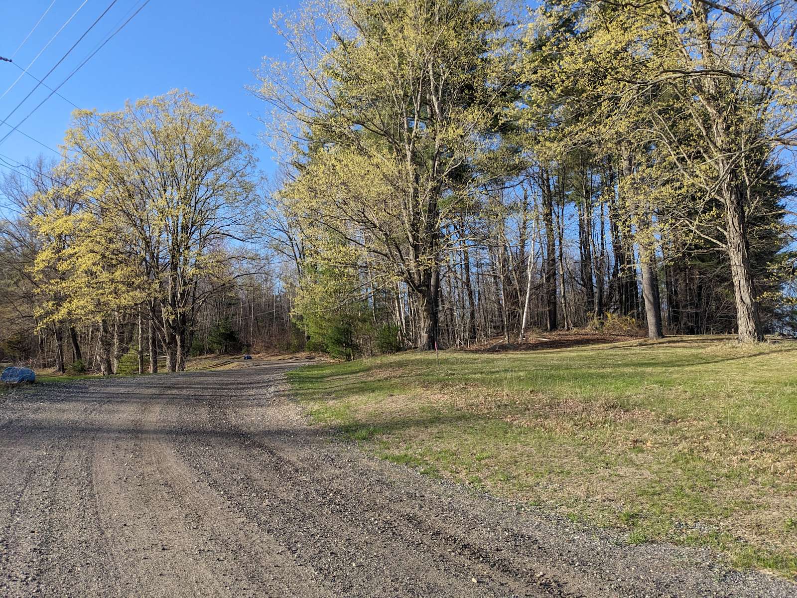 Hickory Heights Farm - Photo 2