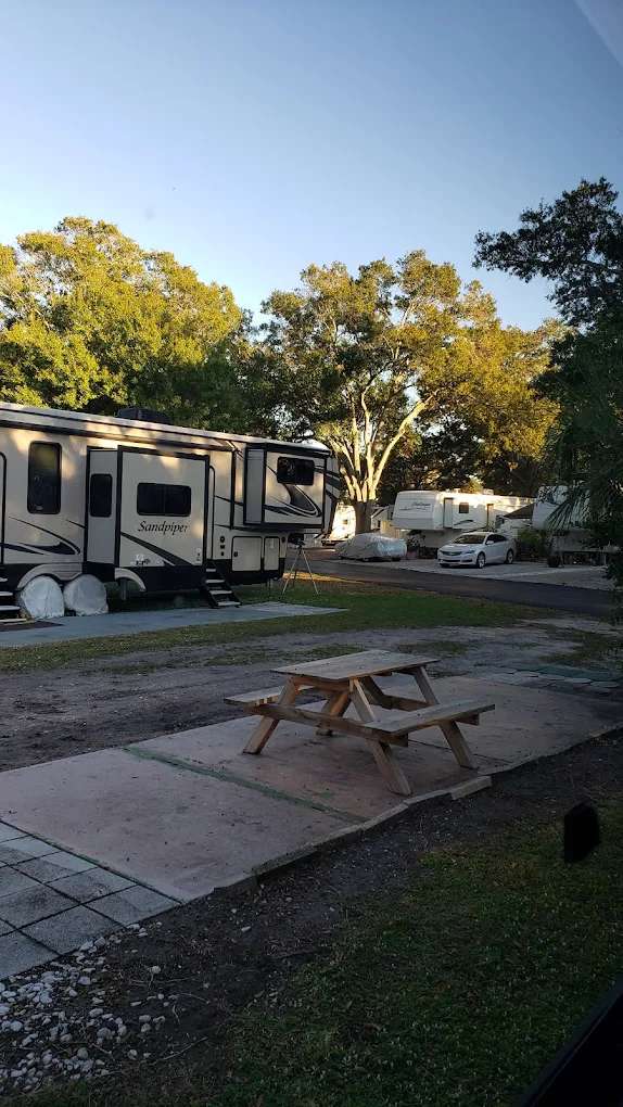 Scottish Traveler RV Park - Photo 3