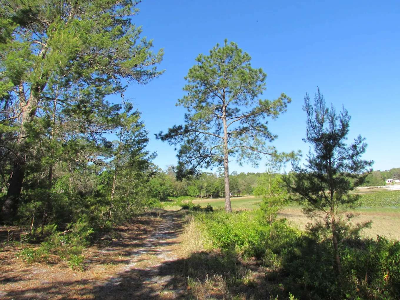 October Bend RV Park - Photo 3