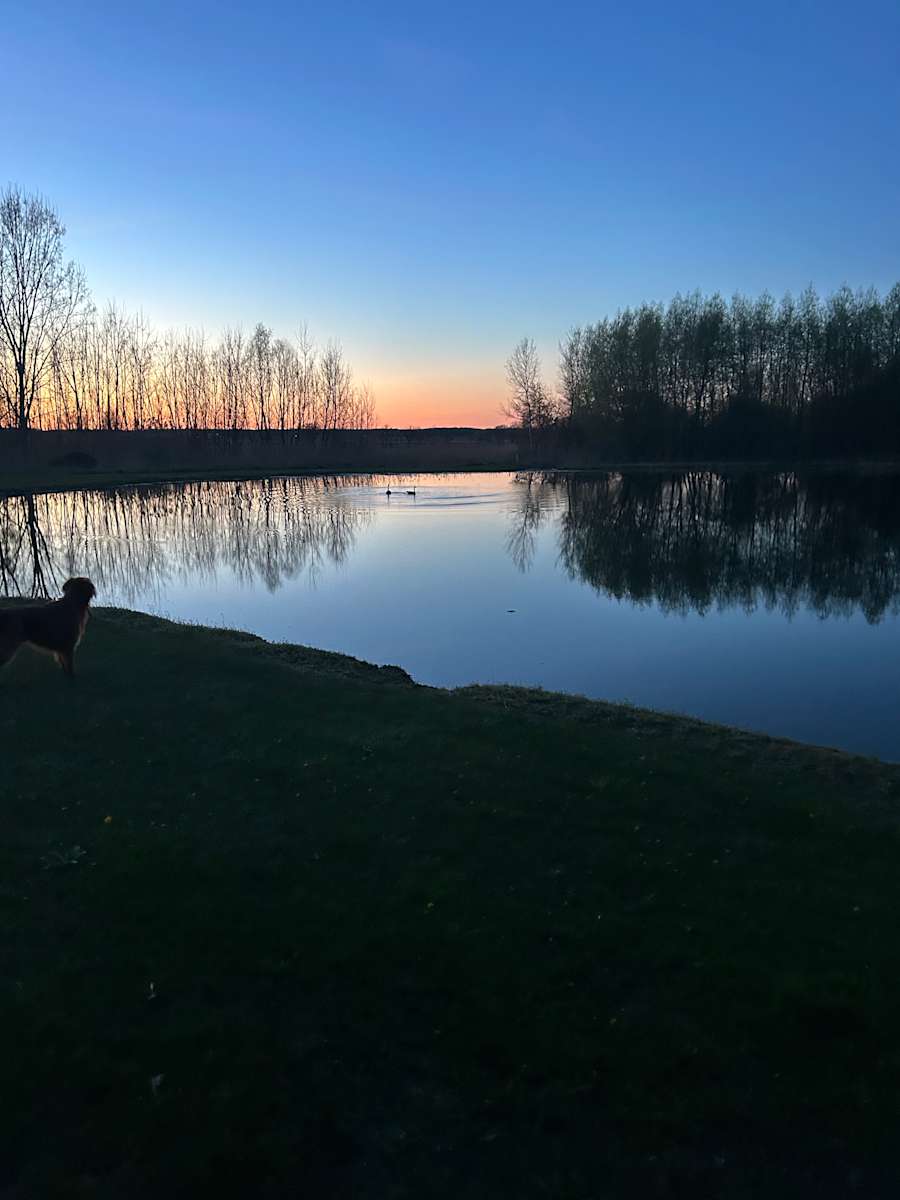 Camp Forest - Hipcamp in Decatur, Michigan