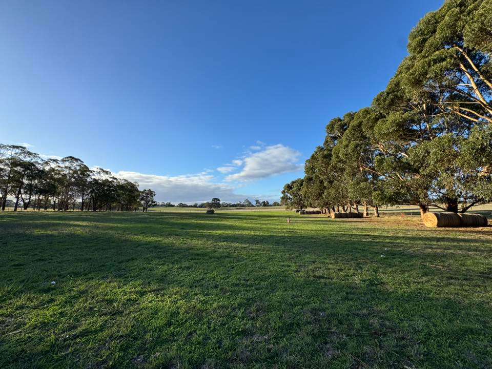 Pine Ridge - Photo 2