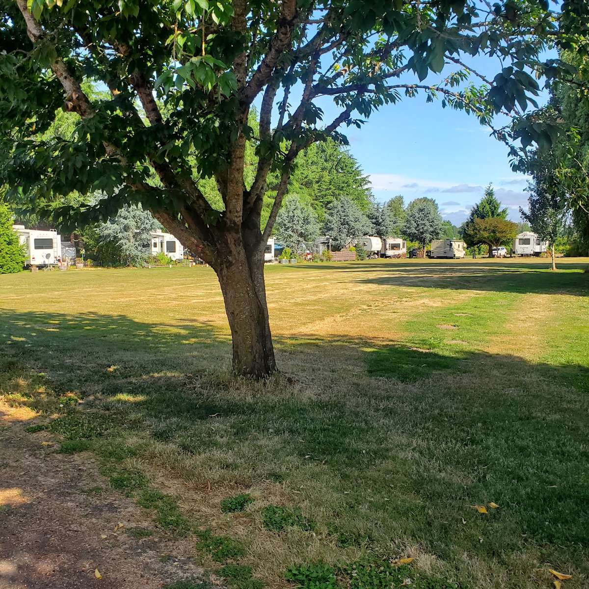 Island Cove RV Park - Hipcamp in Portland, Oregon
