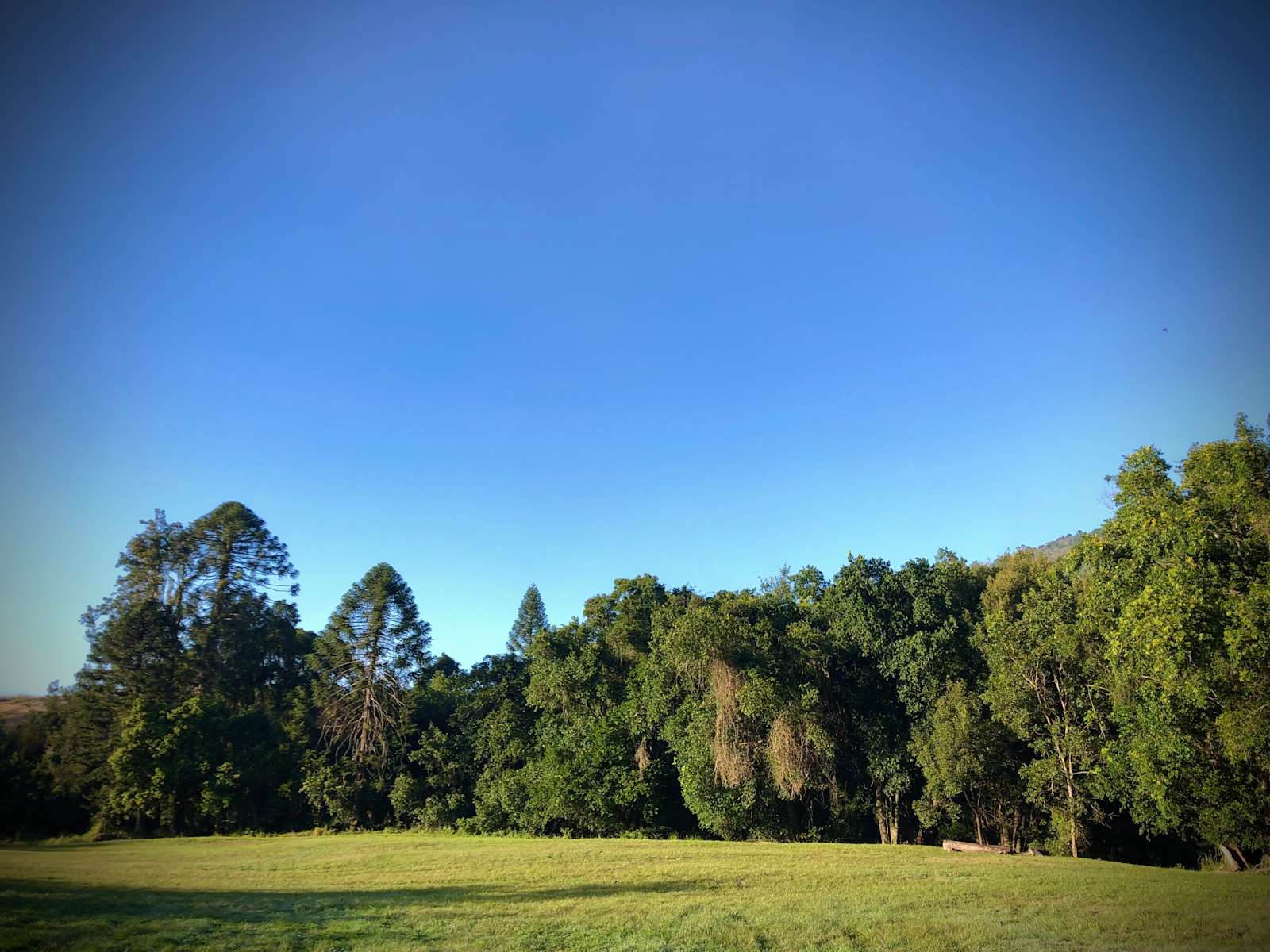 Amamoor Creek Camping Retreat - Photo 2