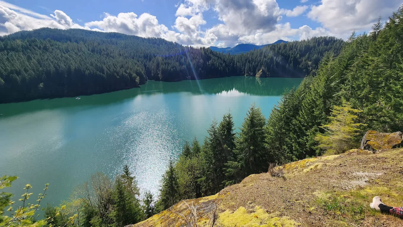 Whitcomb Creek Campground - Hipcamp in Foster, Oregon
