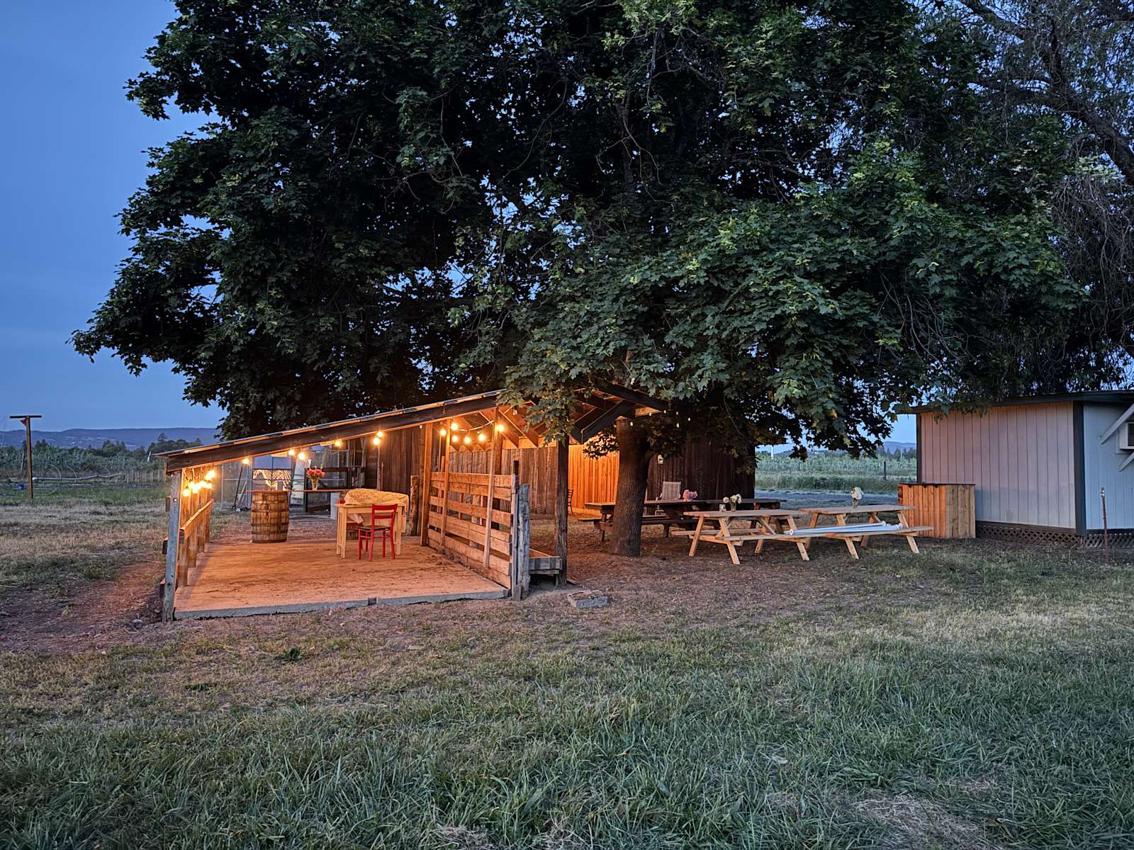 Wild Hare Farms - Photo 2