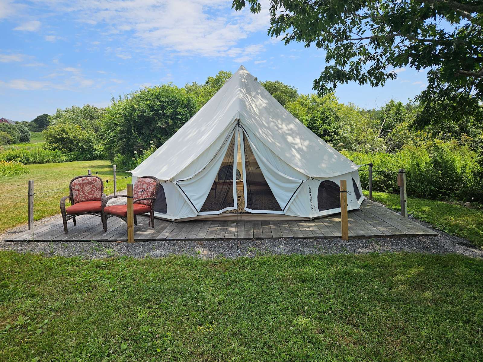 CYGNUS Black シグナス　Camping Club shaggex3n76ivxieor1e.jpg