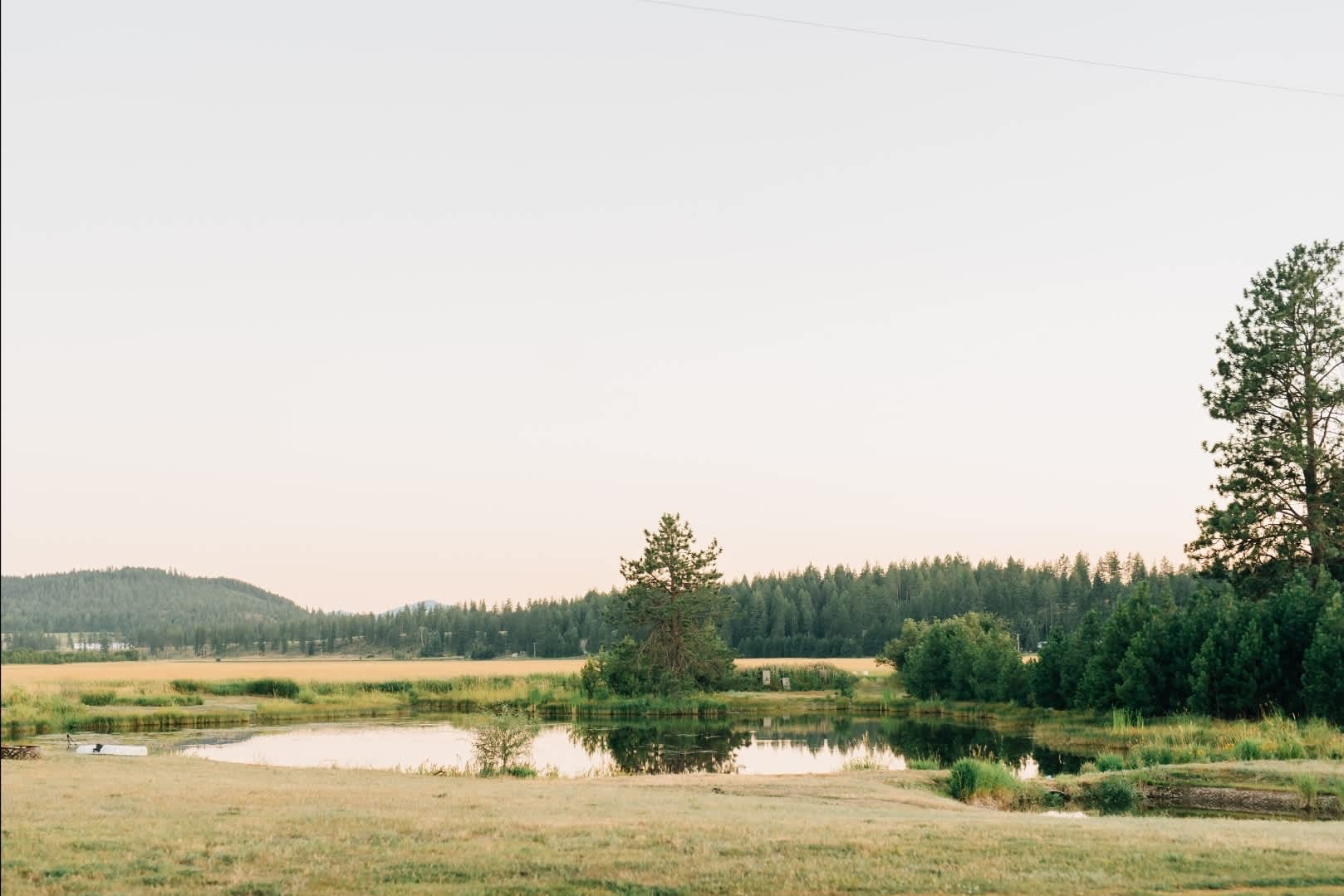 Long Mountain Meadows - Photo 2