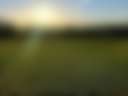 Wild Meadow Camping