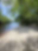 Black River Camping Ventures