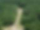 Back Forty Farm - Photo 3