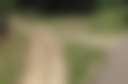 Back Forty Farm - Photo 2
