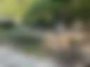 Working Horse Farm - Photo 3