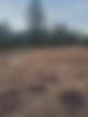 Blended Roots farms - Photo 2