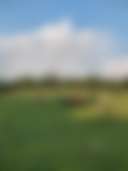 Bullwick Farms - Photo 3