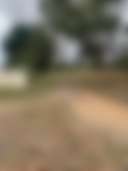 Cowra rural property - Photo 2