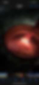 Iconium Farms - Photo 2