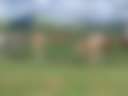 Standown Park - Photo 2