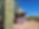 Camp Saguaro