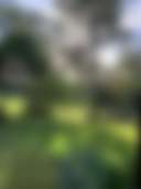 Kookaburra Flat - Photo 3