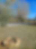 Renfrow Valley - Photo 2