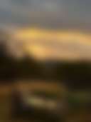 Mystic Meadows - Photo 3