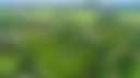 GSM Bamboo Farm
