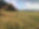 Penn Meadow Farm - Photo 3