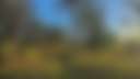 Big Sky Sanctuary - Photo 2