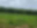 The Retreat - Photo 3
