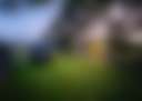 Behind the Hedge
