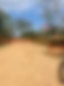 Sheridan Oasis - Photo 3