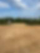 Nine Point Properties