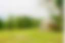 Yurta Glamping/Tent Camping 50Acres