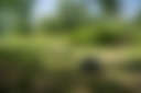 Southern Revere Vineyard & Farm
