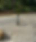 Nantahala Ridge Campground - Photo 3