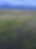 Jocko Valley Camp - Photo 3