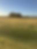 Mountain View Farmstead