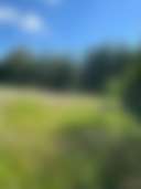 Burkwood farm - Photo 2