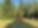 Tamarack Hill Farm