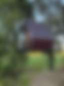 New Carpati Farm - Photo 3