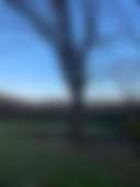 Greener Pastures Camp