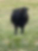 Deep Creek Ranch - Photo 3