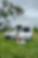 Small Trees Campsite
