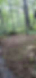 Carter Brook primitive camping - Photo 3