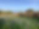 Wild Penllŷn Camping Field - Photo 2